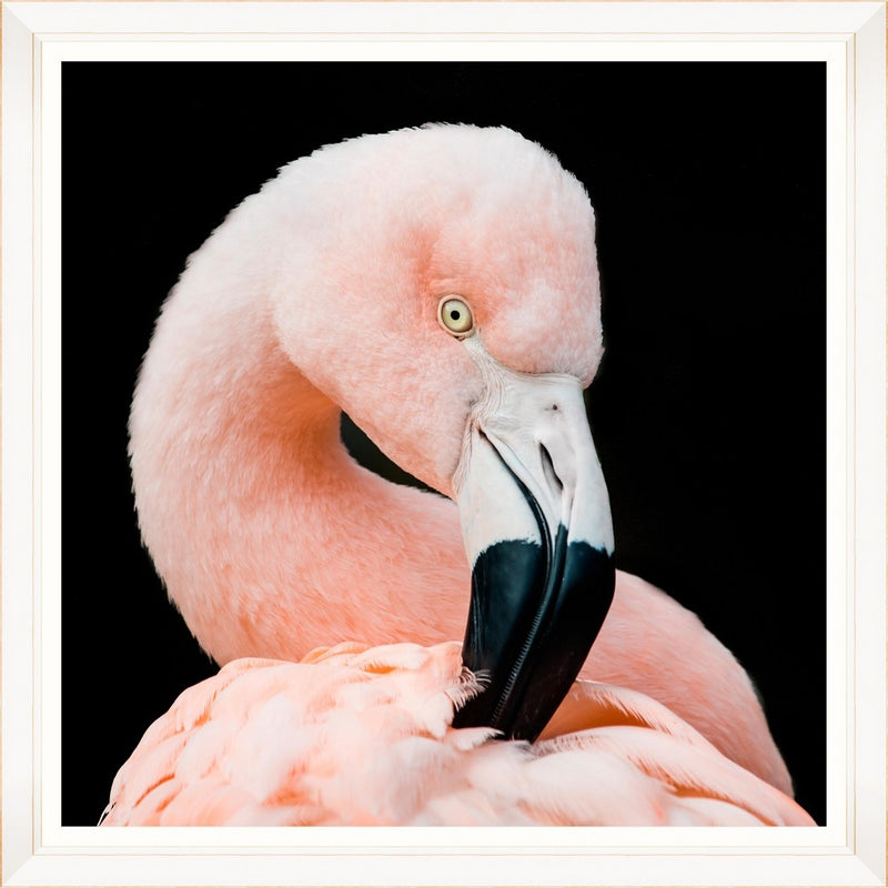 Tablou Framed Art Pink Beauty