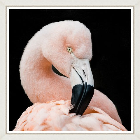 Tablou 2 piese Framed Art Flamingos (2)