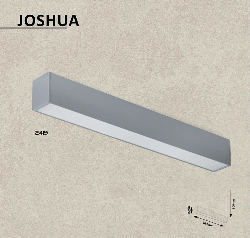 Plafoniera Joshua 2419 Argintiu (3)