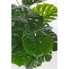 Planta artificiala Philodendron, H120 cm (1)