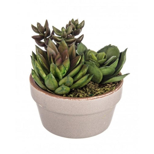 Planta artificiala Texas, H10 cm