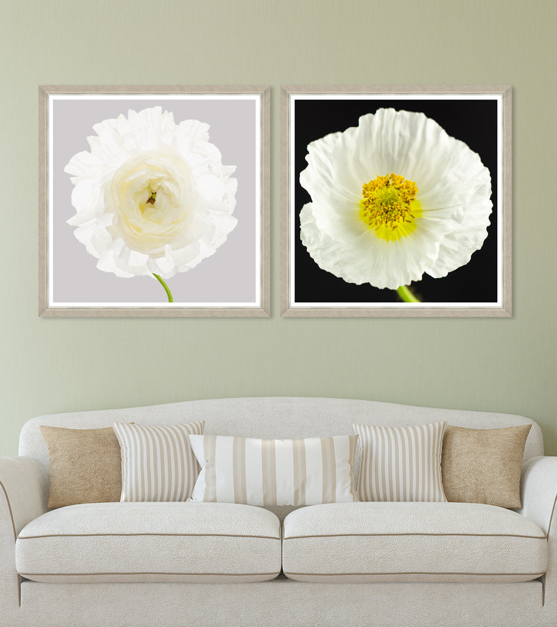 Tablou 2 piese Framed Art Poppy & Ranunculus (3)