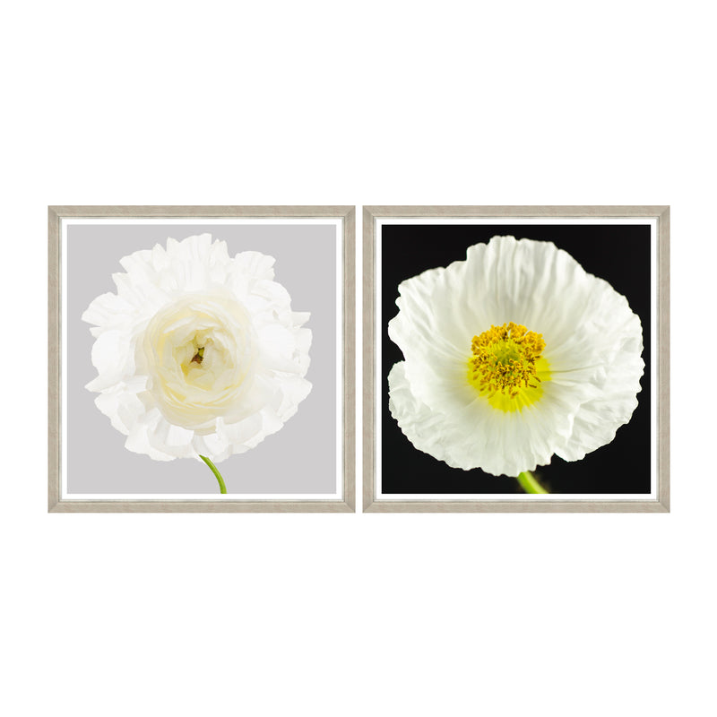 Tablou 2 piese Framed Art Poppy & Ranunculus