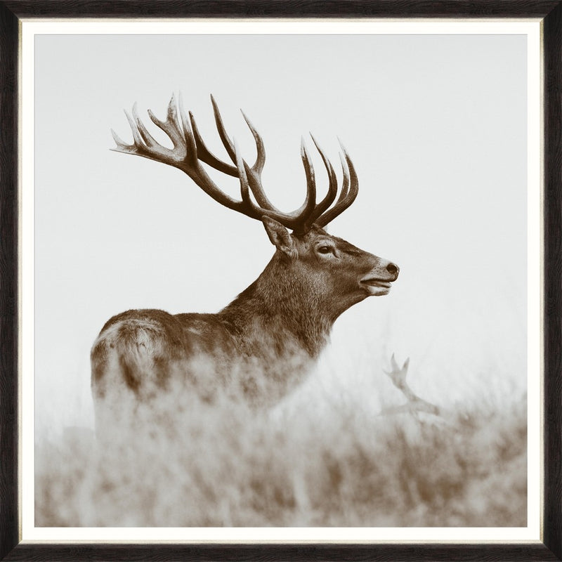 Tablou Framed Art Red Deer