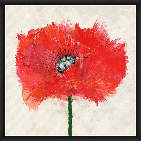 Tablou 2 piese Framed Art Red Explosion (2)