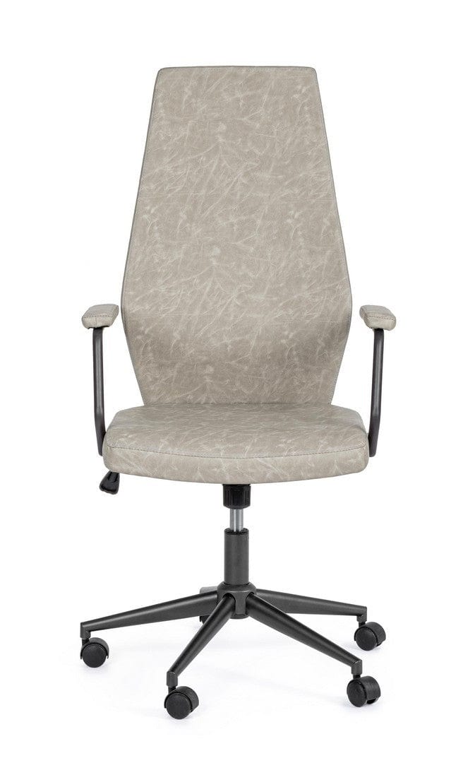 Scaun de birou ergonomic, tapitat cu piele ecologica Jamie Gri Deschis, l67xA58xH109-119 cm (1)