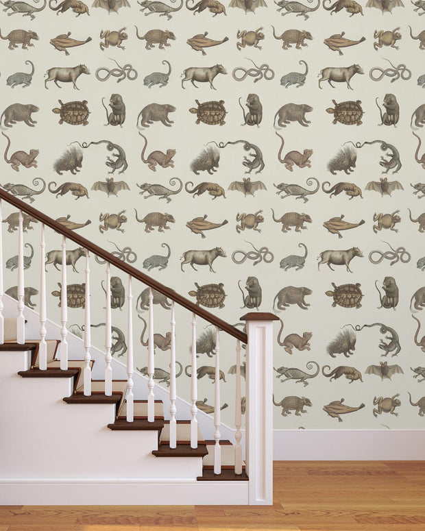 Set 3 role Tapet Imprimat Digital Seba's Ark (1)