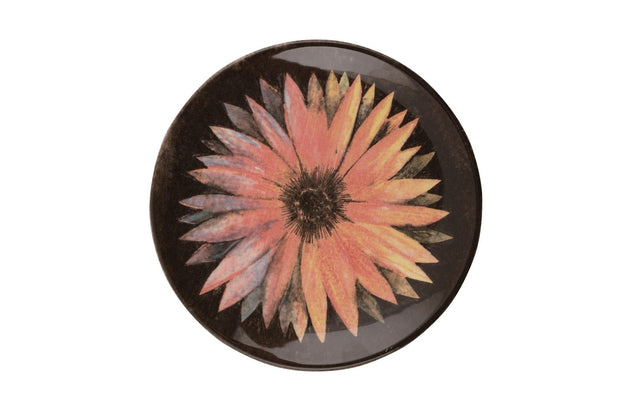 Asir Set vesela din portelan, Miller Dinner Multicolor, 24 piese