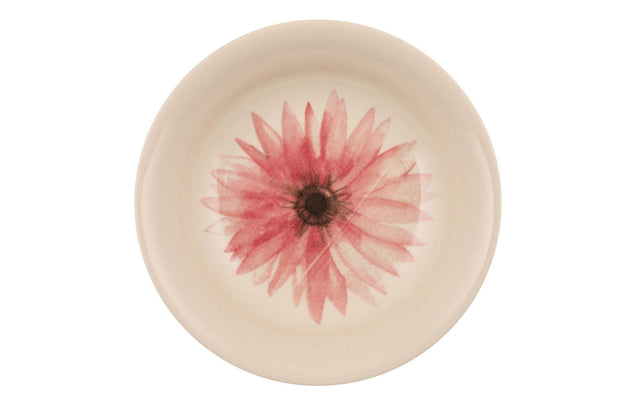 Asir Set vesela din portelan, Miller Dinner Multicolor, 24 piese