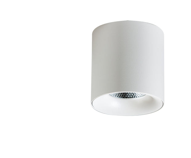 Spot Mane Alb, AZ4324 (3)