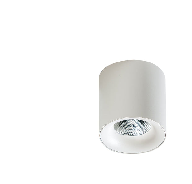 Spot Mane Alb, AZ4324 (5)