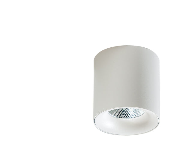 Spot Mane Alb, AZ4324 (6)