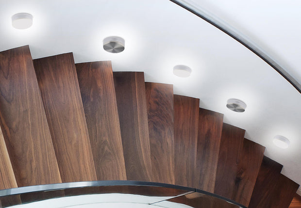 Spot Taz Nichel, AZ3371 (2)