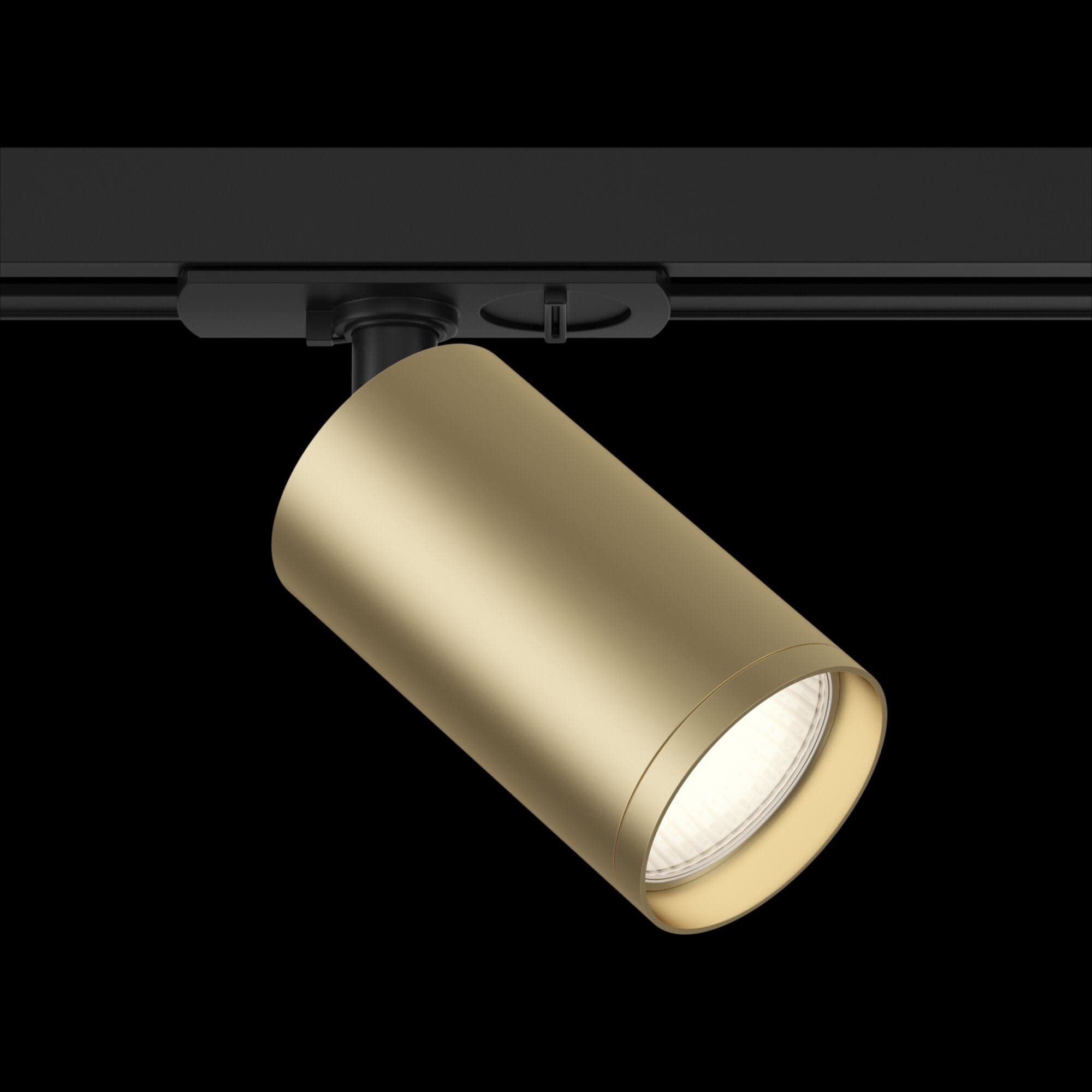 Maytoni Spot Track Lamps Negru / Auriu Antichizat