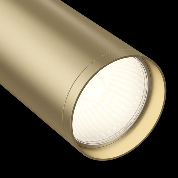 Maytoni Spot Track Lamps Negru / Auriu Antichizat