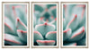 Tablou 3 piese Framed Art Succulent