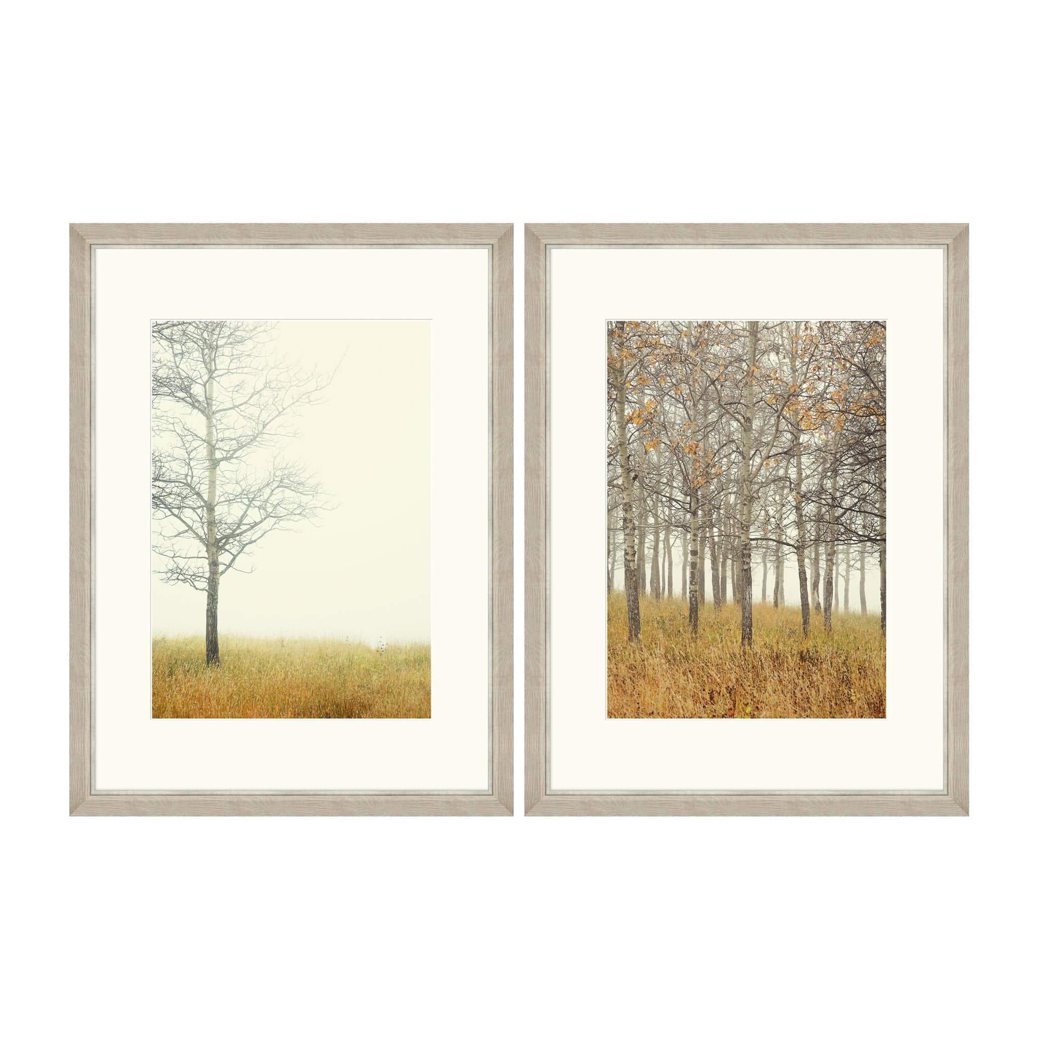 Tablou 2 piese Framed Art Autumn Forest