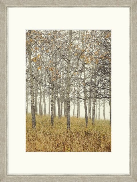 Tablou 2 piese Framed Art Autumn Forest (1)