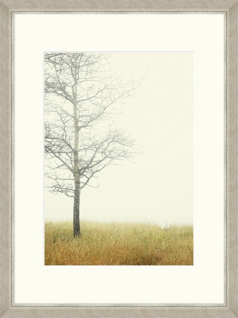 Tablou 2 piese Framed Art Autumn Forest (2)