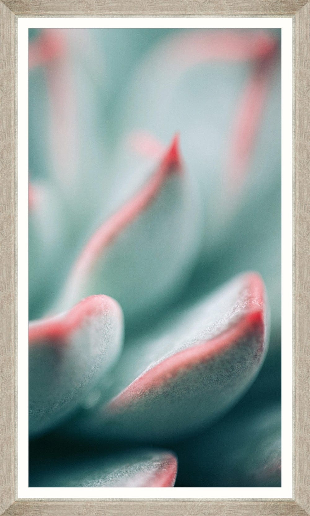 Global Art Tablou 3 piese Framed Art Succulent