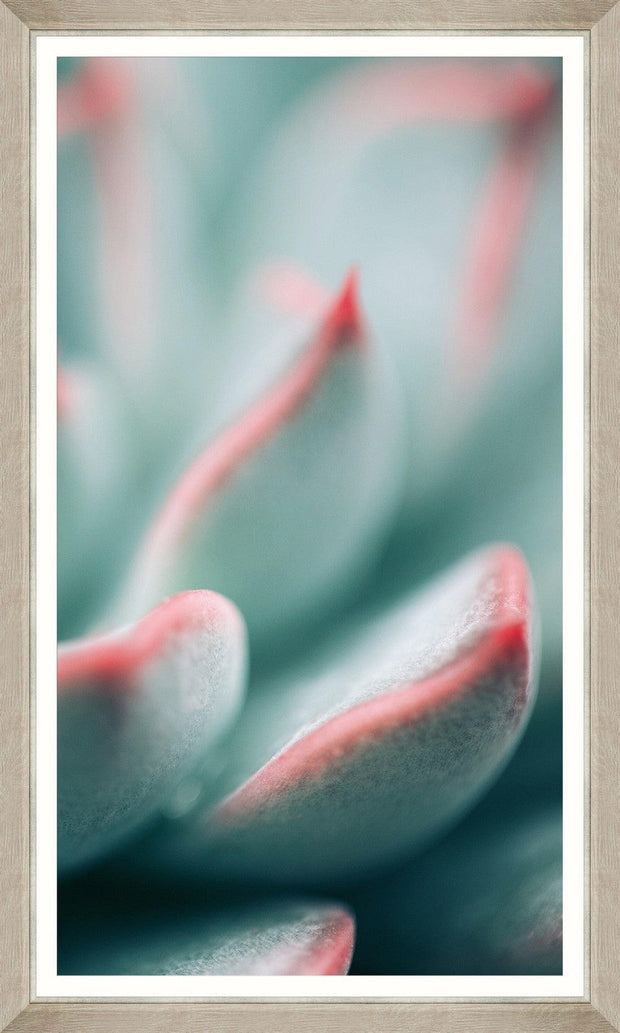 Global Art Tablou 3 piese Framed Art Succulent