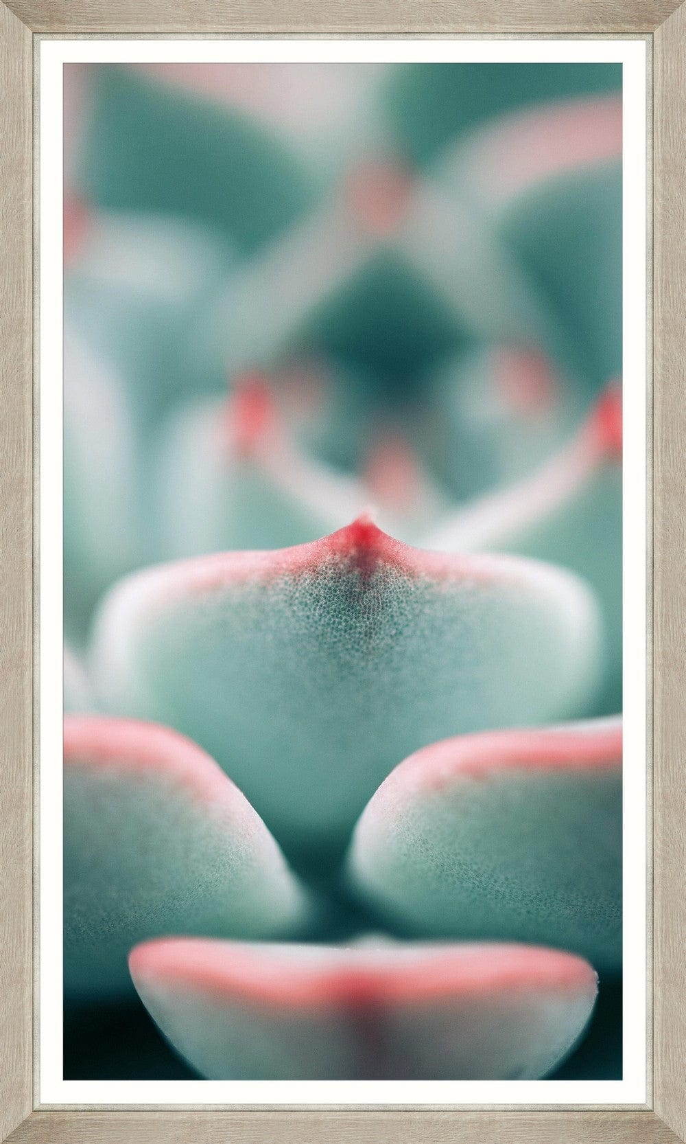 Tablou 3 piese Framed Art Succulent (2)