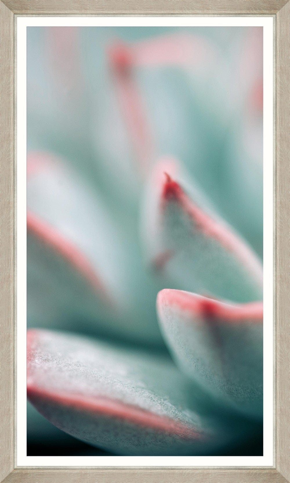 Tablou 3 piese Framed Art Succulent (3)