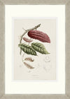 Tablou 6 piese Framed Art Vintage Fruit Plates (1)