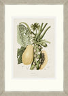 Tablou 6 piese Framed Art Vintage Fruit Plates (2)