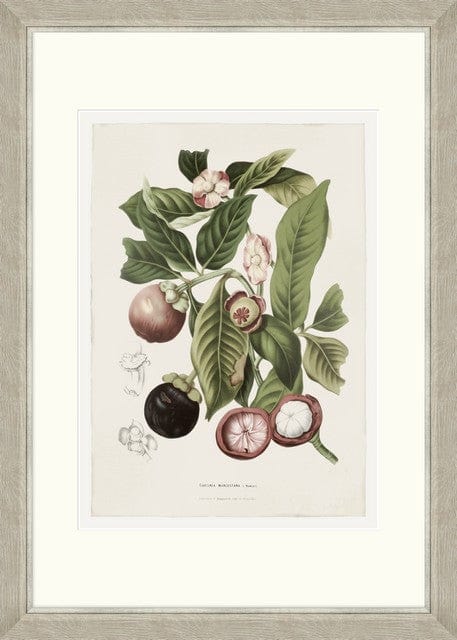 Tablou 6 piese Framed Art Vintage Fruit Plates (5)
