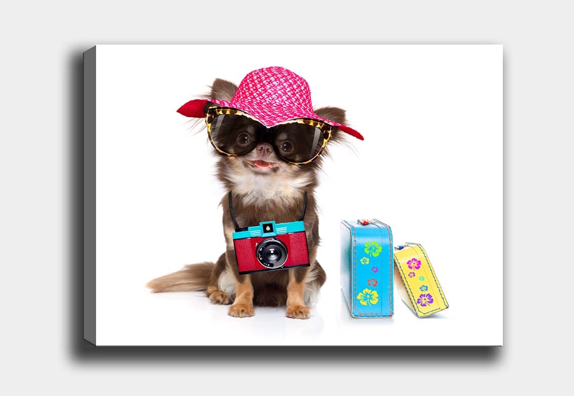 Tablou Canvas Chihuahua Summer Vibes Multicolor & OYOTR-1138312025 & OYOTR-1138312025