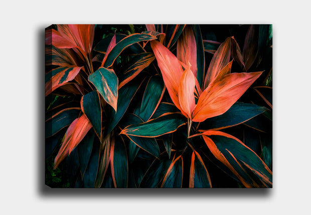 Tablou Canvas Tropical Multicolor & OYOTR-DEV1376630357 & OYOTR-DEV1376630357 & OYOTR-DEV1376630357