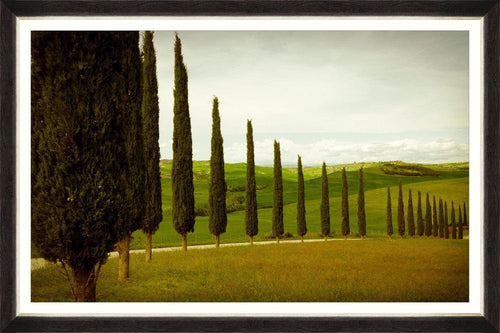 Tablou Framed Art Cypress Road