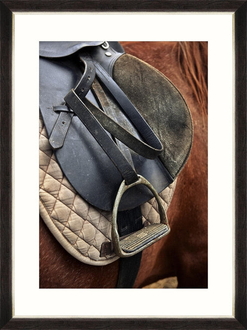 Tablou Framed Art Equitation I