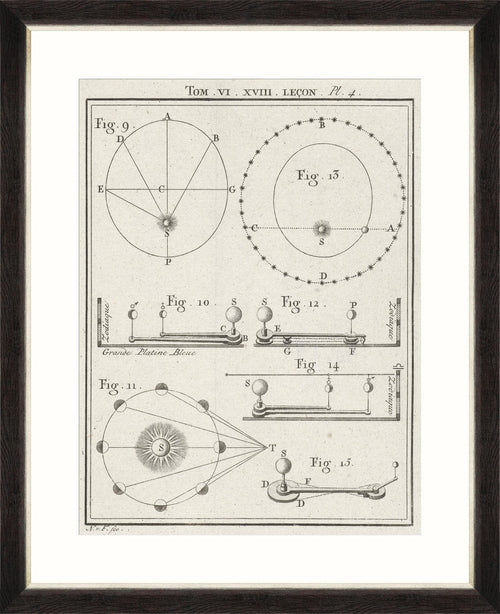 Tablou Framed Art Physical Models I