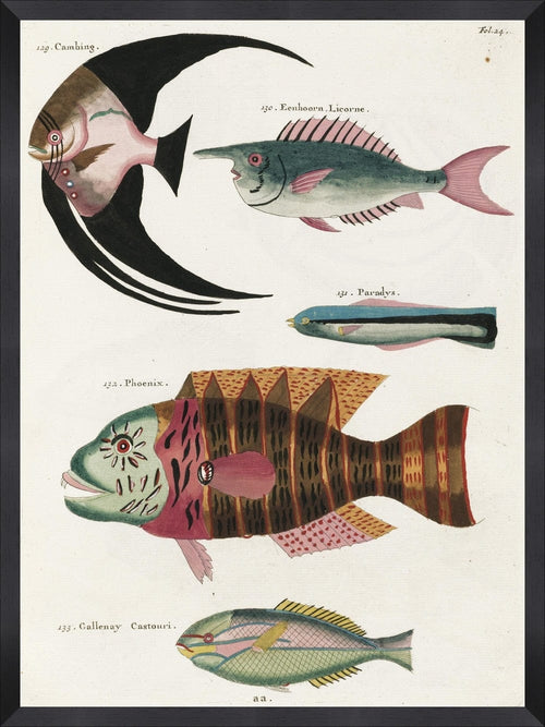 Global Art Tablou Framed Art Poissons Ecrevis VI