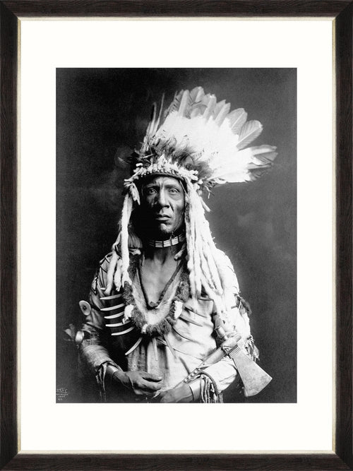 Tablou Framed Art Weasel Tail By Curtis