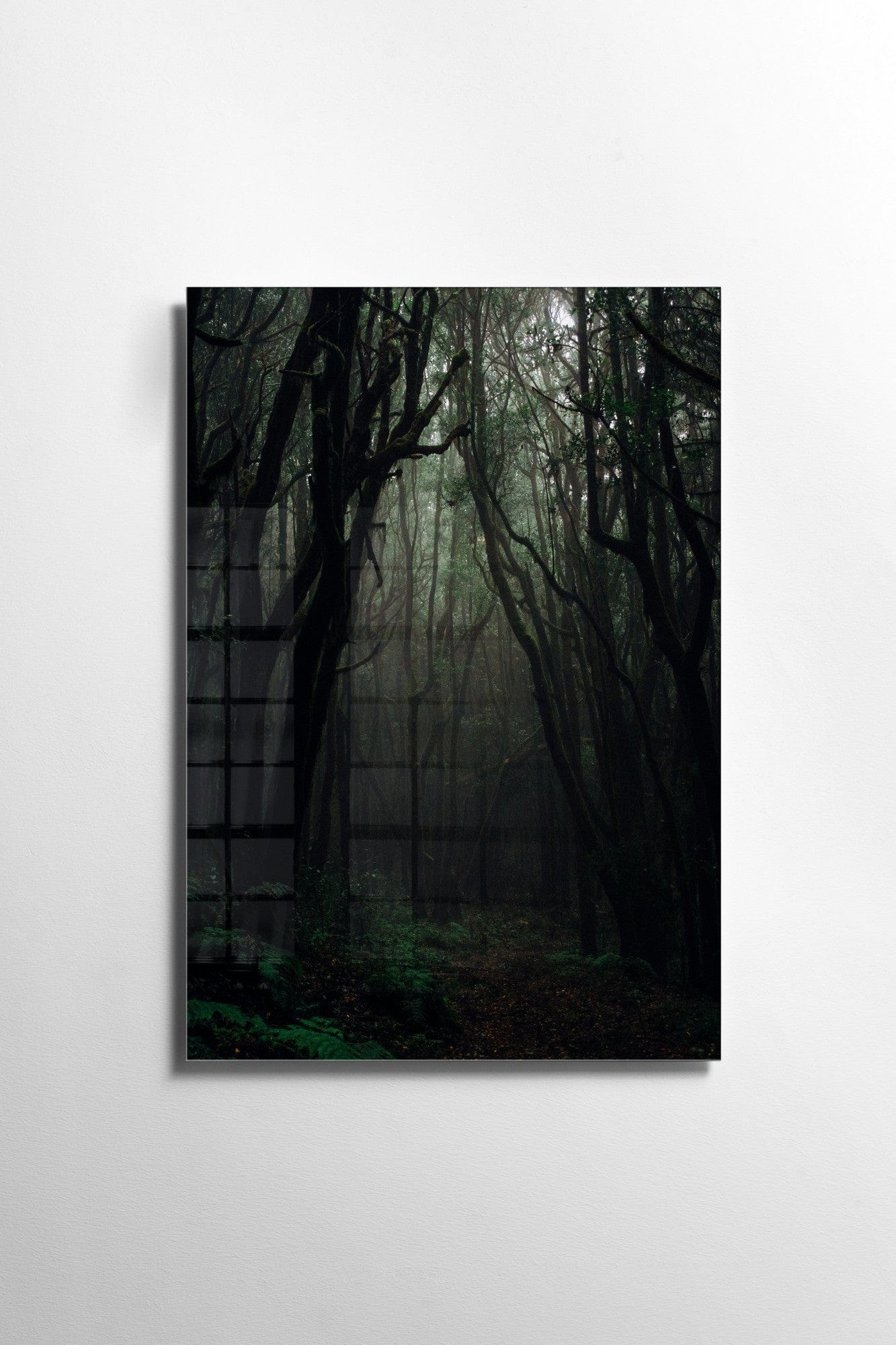 Asir Tablou Sticla Dark Forest 1156 Multicolor, 30 x 45 cm