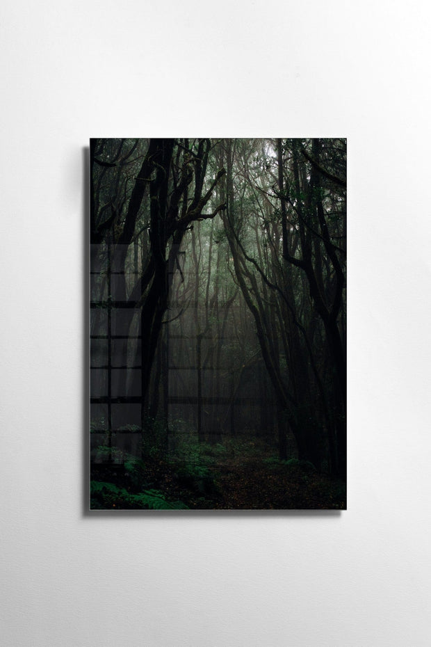 Asir Tablou Sticla Dark Forest 1156 Multicolor, 30 x 45 cm