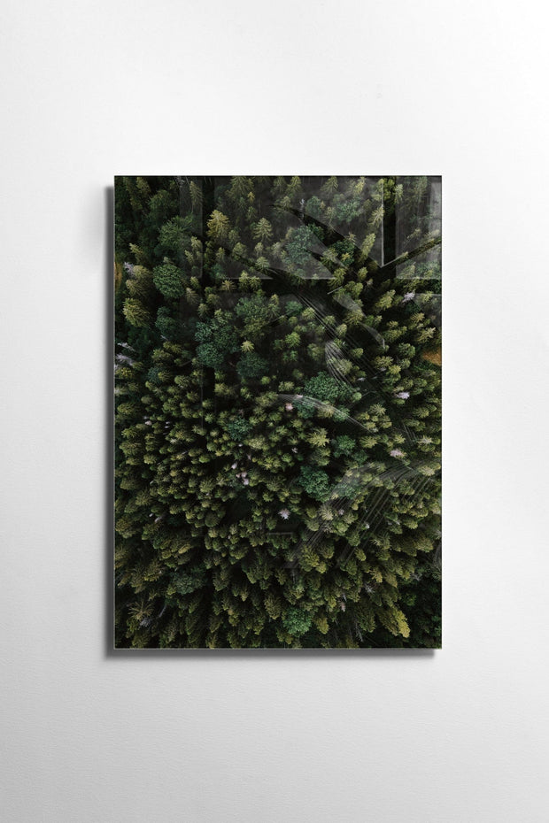 Asir Tablou Sticla Dolan 1163 Verde, 30 x 45 cm