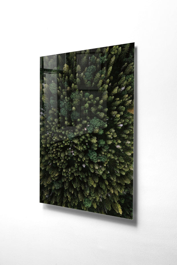 Asir Tablou Sticla Dolan 1163 Verde, 30 x 45 cm