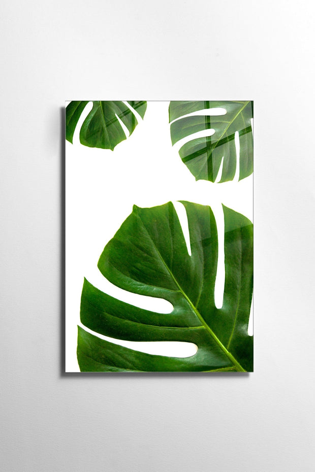 Asir Tablou Sticla Lucca 1152 Verde / Alb, 30 x 45 cm
