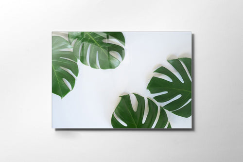 Asir Tablou Sticla Morin 1122 Alb / Verde, 45 x 30 cm