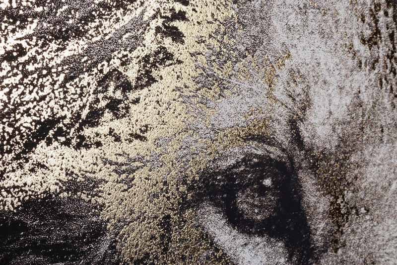 Tablou Canvas Bold 906 Lion Negru / Auriu, 82 x 122 cm (3)
