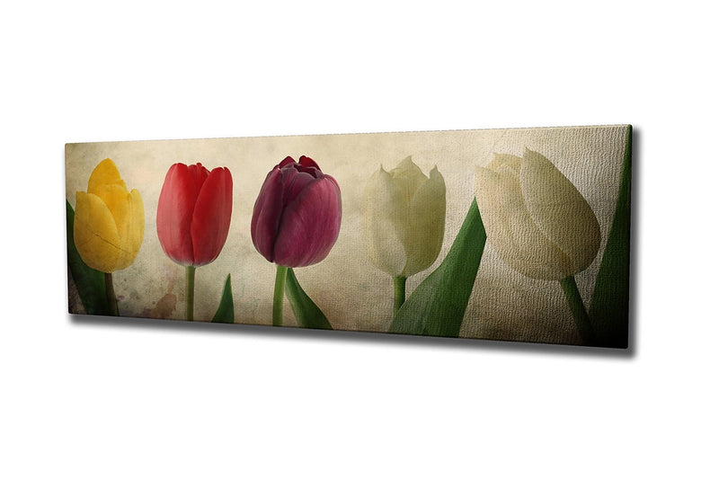 Tablou Canvas Picsie Tulip PC147 Multicolor, 80 x 30 cm (2)