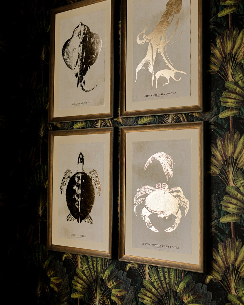 Tablou Framed Art Caribbean Sea Life - Arthropoda Crustacea, 50 x 70 cm (2)