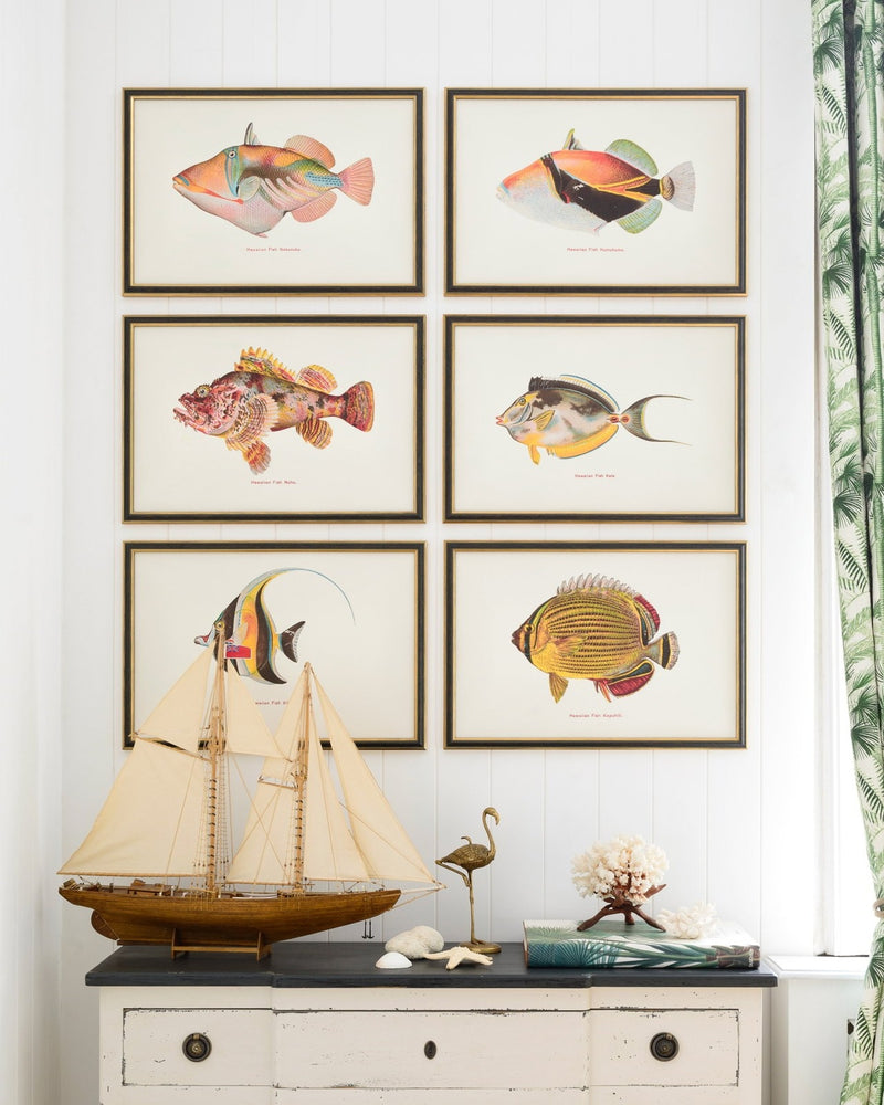 Tablou Framed Art Fishes Of Hawaii - Humuhumu Fish, 60 x 40 cm (1)