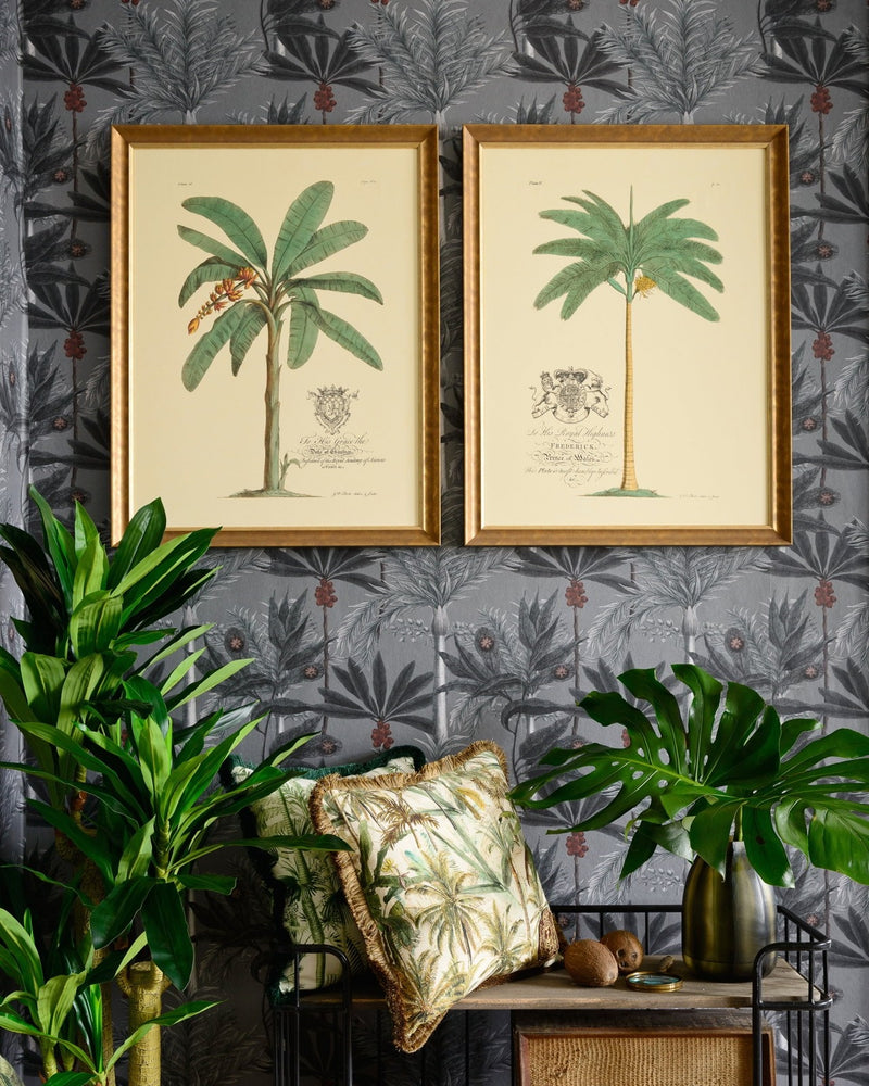Tablou Framed Art Mussa and Palma - Mussa Paradisiaca, 60 x 80 cm (1)