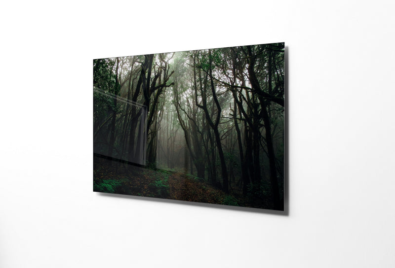 Tablou Sticla Dark Forest II 1155 Multicolor, 45 x 30 cm (3)