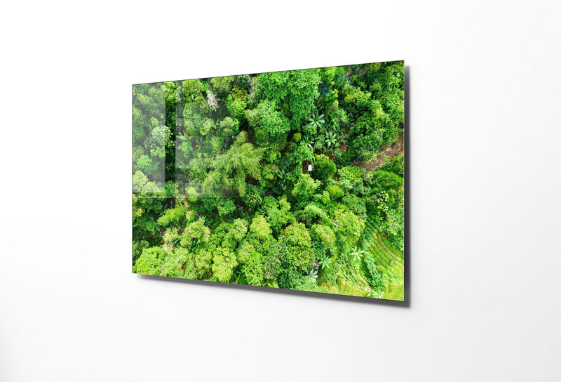 Tablou Sticla Tree 1172 Verde, 45 x 30 cm (2)